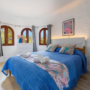 Falco Villa Pollenca